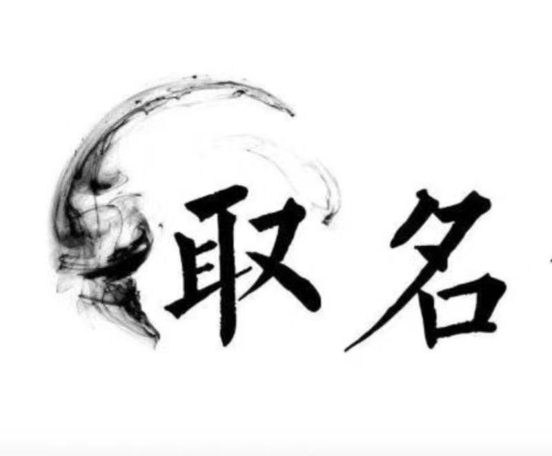  康保宝宝取名 大师一对一人工起名
